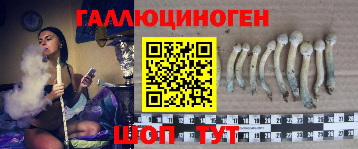Галлюциногенные грибы мухоморы  Вход с VPN  Иркутск  Псилоцибиновые грибы GOLDEN TEACHER 